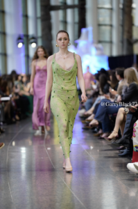 Jordan Quintal's collection