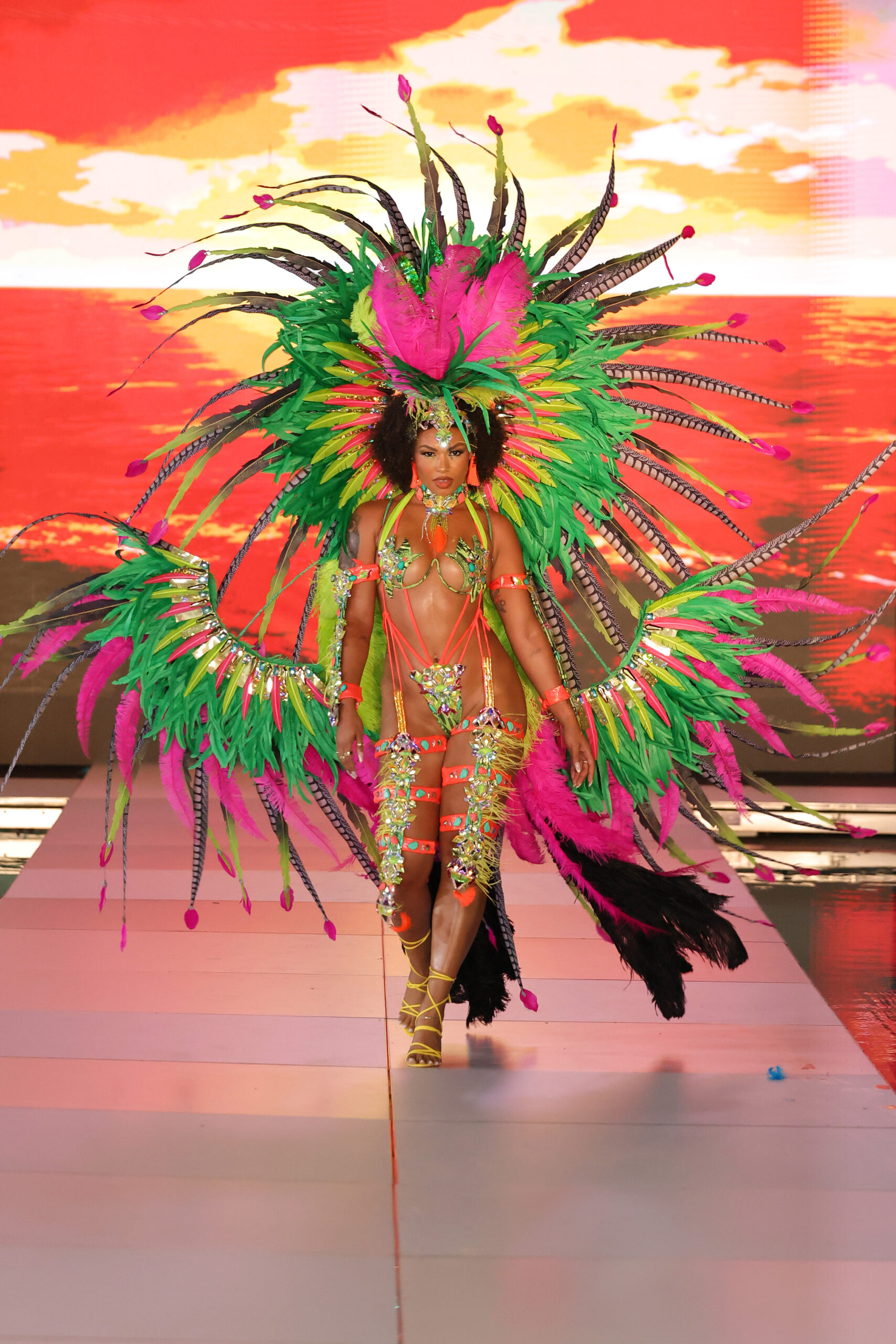 Lila Nikole's Amazonia collection